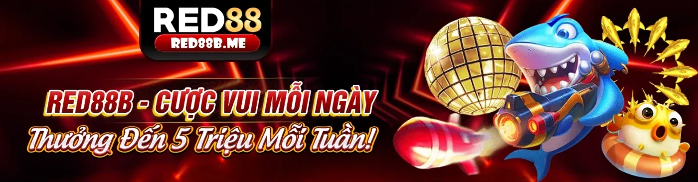 Các kênh liên hệ với 88v App