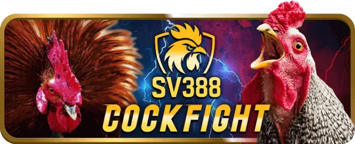 Thống kê và phân tích chuyên sâu 88v App